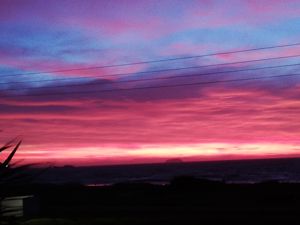 Photo 19- click for photo gallery